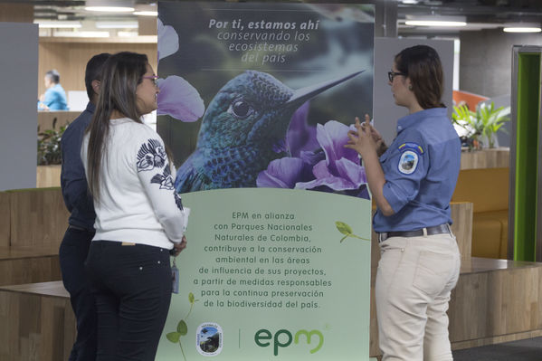 Semana Ambiental 2017
Semana Ambiental 2017
Fecha: Junio 22 de 2017
Para descargar esta fotografía en alta resolución, haga clic sobre la imagen hasta que la misma se despliegue en la pantalla completa; luego dé clic derecho y elija la opción "guardar imagen como". 
En caso de publicación por cualquier medio, solicitamos acompañarla del crédito: "Foto EPM"
Palabras clave: Semana Ambiental 2017