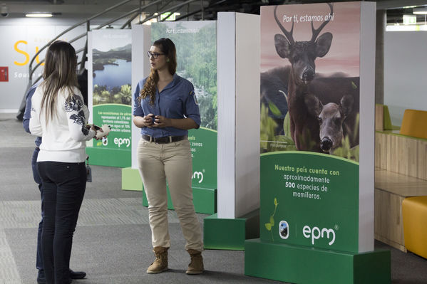 Semana Ambiental 2017
Semana Ambiental 2017
Fecha: Junio 22 de 2017
Para descargar esta fotografía en alta resolución, haga clic sobre la imagen hasta que la misma se despliegue en la pantalla completa; luego dé clic derecho y elija la opción "guardar imagen como". 
En caso de publicación por cualquier medio, solicitamos acompañarla del crédito: "Foto EPM"
Palabras clave: Semana Ambiental 2017