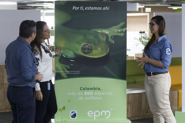 Semana Ambiental 2017
Semana Ambiental 2017
Fecha: Junio 22 de 2017
Para descargar esta fotografía en alta resolución, haga clic sobre la imagen hasta que la misma se despliegue en la pantalla completa; luego dé clic derecho y elija la opción "guardar imagen como". 
En caso de publicación por cualquier medio, solicitamos acompañarla del crédito: "Foto EPM"
Palabras clave: Semana Ambiental 2017