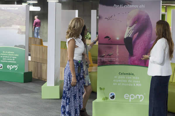 Semana Ambiental 2017
Semana Ambiental 2017
Fecha: Junio 22 de 2017
Para descargar esta fotografía en alta resolución, haga clic sobre la imagen hasta que la misma se despliegue en la pantalla completa; luego dé clic derecho y elija la opción "guardar imagen como". 
En caso de publicación por cualquier medio, solicitamos acompañarla del crédito: "Foto EPM"
Palabras clave: Semana Ambiental 2017