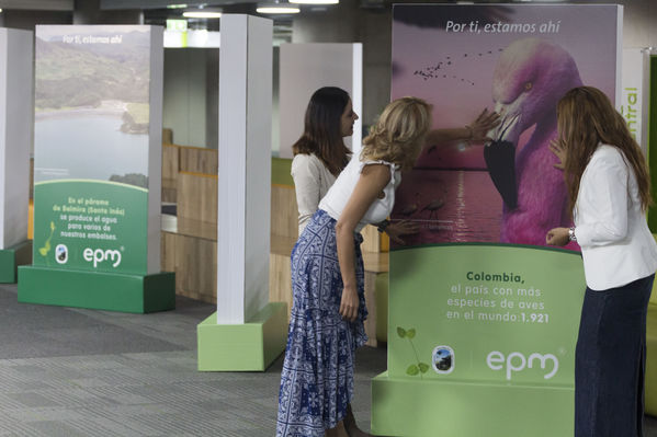 Semana Ambiental 2017
Semana Ambiental 2017
Fecha: Junio 22 de 2017
Para descargar esta fotografía en alta resolución, haga clic sobre la imagen hasta que la misma se despliegue en la pantalla completa; luego dé clic derecho y elija la opción "guardar imagen como". 
En caso de publicación por cualquier medio, solicitamos acompañarla del crédito: "Foto EPM"
Palabras clave: Semana Ambiental 2017