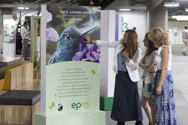 Semana Ambiental 2017
Semana Ambiental 2017
Fecha: Junio 22 de 2017
Para descargar esta fotografía en alta resolución, haga clic sobre la imagen hasta que la misma se despliegue en la pantalla completa; luego dé clic derecho y elija la opción "guardar imagen como". 
En caso de publicación por cualquier medio, solicitamos acompañarla del crédito: "Foto EPM"
Palabras clave: Semana Ambiental 2017