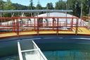 Nombre del archivo=P1310015.JPG
Tamaño del archivo=4167KiB
Dimensiones=3600x2400
Fecha añadida=Junio 23, 2016 P1310015.JPG