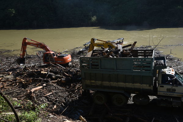 Recolección de material flotante en Hidroituango
Recolección de material flotante en Hidroituango
Fecha: Junio 27 2018.
Para descargar esta fotografía en alta resolución, haga clic sobre la imagen hasta que la misma se despliegue en la pantalla completa; luego dé clic derecho y elija la opción "guardar imagen como". 
En caso de publicación por cualquier medio, solicitamos acompañarla del crédito: "Foto EPM"
Palabras clave: Recolección de material flotante en Hidroituango