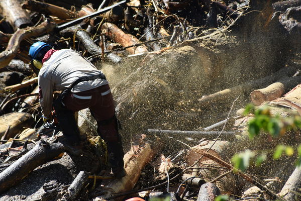 Recolección de material flotante en Hidroituango
Recolección de material flotante en Hidroituango
Fecha: Junio 27 2018.
Para descargar esta fotografía en alta resolución, haga clic sobre la imagen hasta que la misma se despliegue en la pantalla completa; luego dé clic derecho y elija la opción "guardar imagen como". 
En caso de publicación por cualquier medio, solicitamos acompañarla del crédito: "Foto EPM"
Palabras clave: Recolección de material flotante en Hidroituango