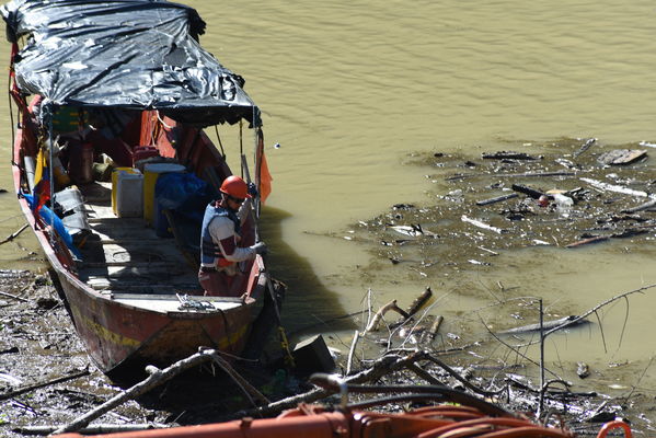Recolección de material flotante en Hidroituango
Recolección de material flotante en Hidroituango
Fecha: Junio 27 2018.
Para descargar esta fotografía en alta resolución, haga clic sobre la imagen hasta que la misma se despliegue en la pantalla completa; luego dé clic derecho y elija la opción "guardar imagen como". 
En caso de publicación por cualquier medio, solicitamos acompañarla del crédito: "Foto EPM"
Palabras clave: Recolección de material flotante en Hidroituango