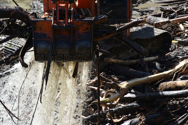 Recolección de material flotante en Hidroituango
Recolección de material flotante en Hidroituango
Fecha: Junio 27 2018.
Para descargar esta fotografía en alta resolución, haga clic sobre la imagen hasta que la misma se despliegue en la pantalla completa; luego dé clic derecho y elija la opción "guardar imagen como". 
En caso de publicación por cualquier medio, solicitamos acompañarla del crédito: "Foto EPM"
Palabras clave: Recolección de material flotante en Hidroituango