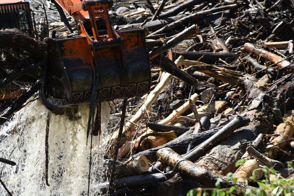 Recolección de material flotante en Hidroituango
Recolección de material flotante en Hidroituango
Fecha: Junio 27 2018.
Para descargar esta fotografía en alta resolución, haga clic sobre la imagen hasta que la misma se despliegue en la pantalla completa; luego dé clic derecho y elija la opción "guardar imagen como". 
En caso de publicación por cualquier medio, solicitamos acompañarla del crédito: "Foto EPM"
Palabras clave: Recolección de material flotante en Hidroituango
