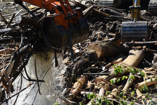 Recolección de material flotante en Hidroituango
Recolección de material flotante en Hidroituango
Fecha: Junio 27 2018.
Para descargar esta fotografía en alta resolución, haga clic sobre la imagen hasta que la misma se despliegue en la pantalla completa; luego dé clic derecho y elija la opción "guardar imagen como". 
En caso de publicación por cualquier medio, solicitamos acompañarla del crédito: "Foto EPM"
Palabras clave: Recolección de material flotante en Hidroituango