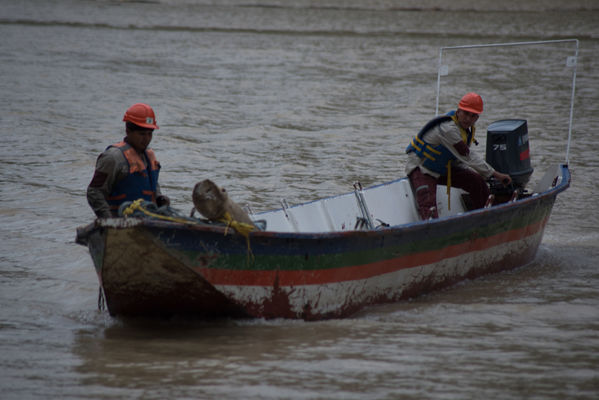 Rescate de fauna en Hidroituango
Rescate de fauna en Hidroituango
Fecha: Junio 27 2018.
Para descargar esta fotografía en alta resolución, haga clic sobre la imagen hasta que la misma se despliegue en la pantalla completa; luego dé clic derecho y elija la opción "guardar imagen como". 
En caso de publicación por cualquier medio, solicitamos acompañarla del crédito: "Foto EPM"
Palabras clave: Rescate de fauna en Hidroituango