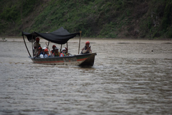 Rescate de fauna en Hidroituango
Rescate de fauna en Hidroituango
Fecha: Junio 27 2018.
Para descargar esta fotografía en alta resolución, haga clic sobre la imagen hasta que la misma se despliegue en la pantalla completa; luego dé clic derecho y elija la opción "guardar imagen como". 
En caso de publicación por cualquier medio, solicitamos acompañarla del crédito: "Foto EPM"
Palabras clave: Rescate de fauna en Hidroituango