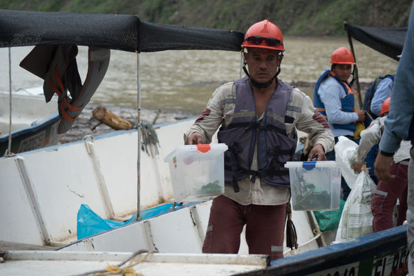 Rescate de fauna en Hidroituango
Rescate de fauna en Hidroituango
Fecha: Junio 27 2018.
Para descargar esta fotografía en alta resolución, haga clic sobre la imagen hasta que la misma se despliegue en la pantalla completa; luego dé clic derecho y elija la opción "guardar imagen como". 
En caso de publicación por cualquier medio, solicitamos acompañarla del crédito: "Foto EPM"
Palabras clave: Rescate de fauna en Hidroituango