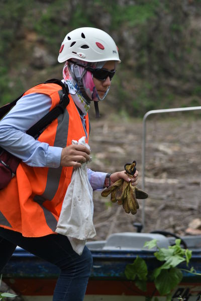 Rescate de fauna en Hidroituango
Rescate de fauna en Hidroituango
Fecha: Junio 27 2018.
Para descargar esta fotografía en alta resolución, haga clic sobre la imagen hasta que la misma se despliegue en la pantalla completa; luego dé clic derecho y elija la opción "guardar imagen como". 
En caso de publicación por cualquier medio, solicitamos acompañarla del crédito: "Foto EPM"
Palabras clave: Rescate de fauna en Hidroituango