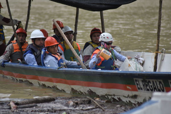 Rescate de fauna en Hidroituango
Rescate de fauna en Hidroituango
Fecha: Junio 27 2018.
Para descargar esta fotografía en alta resolución, haga clic sobre la imagen hasta que la misma se despliegue en la pantalla completa; luego dé clic derecho y elija la opción "guardar imagen como". 
En caso de publicación por cualquier medio, solicitamos acompañarla del crédito: "Foto EPM"
Palabras clave: Rescate de fauna en Hidroituango