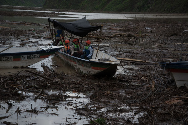 Rescate de fauna en Hidroituango
Rescate de fauna en Hidroituango
Fecha: Junio 27 2018.
Para descargar esta fotografía en alta resolución, haga clic sobre la imagen hasta que la misma se despliegue en la pantalla completa; luego dé clic derecho y elija la opción "guardar imagen como". 
En caso de publicación por cualquier medio, solicitamos acompañarla del crédito: "Foto EPM"
Palabras clave: Rescate de fauna en Hidroituango