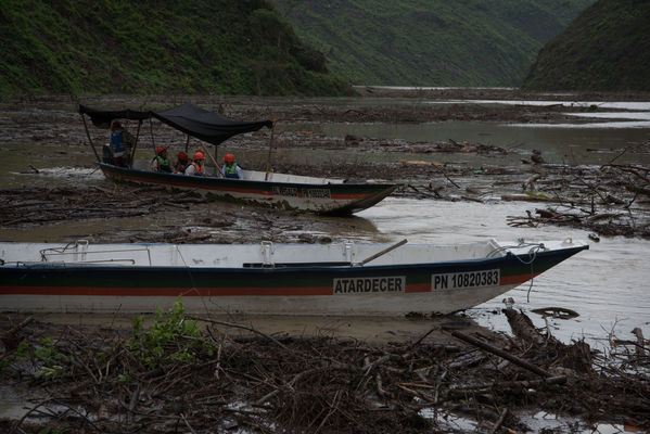 Rescate de fauna en Hidroituango
Rescate de fauna en Hidroituango
Fecha: Junio 27 2018.
Para descargar esta fotografía en alta resolución, haga clic sobre la imagen hasta que la misma se despliegue en la pantalla completa; luego dé clic derecho y elija la opción "guardar imagen como". 
En caso de publicación por cualquier medio, solicitamos acompañarla del crédito: "Foto EPM"
Palabras clave: Rescate de fauna en Hidroituango