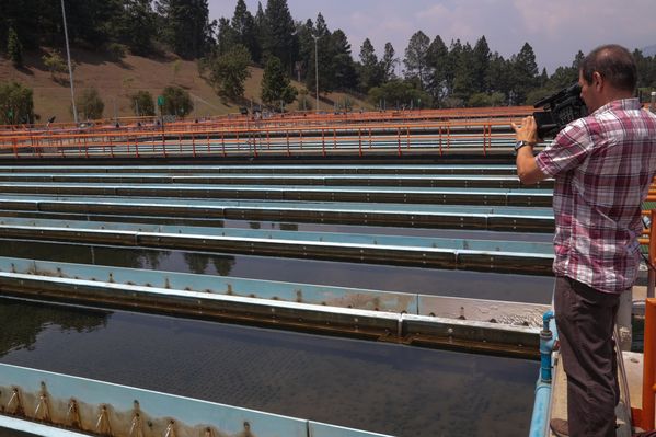 Día internacional del agua
Día internacional del agua
Fecha: Marzo 17 de 2015. Lugar: Medellín, Planta de potabilización Manantiales
Para descargar esta fotografía en alta resolución, haga clic sobre la imagen hasta que la misma se despliegue en la pantalla completa; luego dé clic derecho y elija la opción "guardar imagen como". 
En caso de publicación por cualquier medio, solicitamos acompañarla del crédito: "Foto EPM"

Palabras clave: Día internacional agua