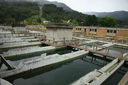 Nombre del archivo=Planta_Ayura_desde_donde_se_llevara_agua_a_Caldas_y_La_Estrella.JPG
Tamaño del archivo=4706KiB
Dimensiones=3200x2133
Fecha añadida=Marzo 05, 2019 Planta_Ayura_desde_donde_se_llevara_agua_a_Caldas_y_La_Estrella.JPG