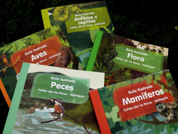Guías de monitoreo de fauna y flora
Guías de monitoreo de fauna y flora
Fecha: Mayo 22 de 2015
Para descargar esta fotografía en alta resolución, haga clic sobre la imagen hasta que la misma se despliegue en la pantalla completa; luego dé clic derecho y elija la opción "guardar imagen como". 
En caso de publicación por cualquier medio, solicitamos acompañarla del crédito: "Foto EPM"
Palabras clave: Guías monitoreo fauna flora