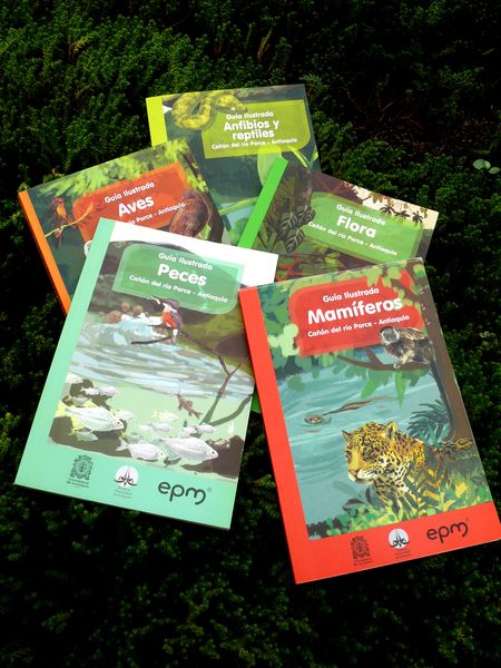 Guías de monitoreo de fauna y flora
Guías de monitoreo de fauna y flora
Fecha: Mayo 22 de 2015
Para descargar esta fotografía en alta resolución, haga clic sobre la imagen hasta que la misma se despliegue en la pantalla completa; luego dé clic derecho y elija la opción "guardar imagen como". 
En caso de publicación por cualquier medio, solicitamos acompañarla del crédito: "Foto EPM"

Palabras clave: Guías monitoreo fauna flora