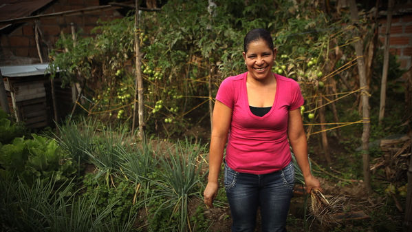 Proyectos Educativos Ituango
Proyectos Educativos Ituango
Fecha: Mayo 23 de 2016
Para descargar esta fotografía en alta resolución, haga clic sobre la imagen hasta que la misma se despliegue en la pantalla completa; luego dé clic derecho y elija la opción "guardar imagen como". 
En caso de publicación por cualquier medio, solicitamos acompañarla del crédito: "Foto EPM"
Palabras clave: Proyectos Educativos Ituango