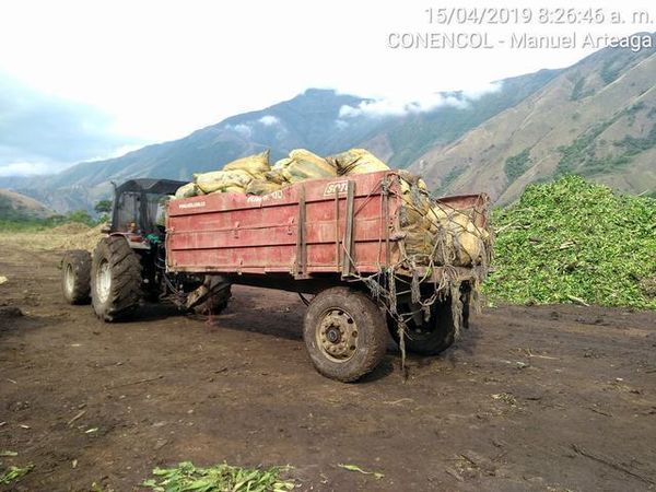 Manejo control buchón agua materiales flotantes embalse proyecto Ituango
Manejo y control buchón de agua y materiales flotantes embalse proyecto Ituango
Fecha: Mayo 3 2019
Para descargar esta fotografía en alta resolución, haga clic sobre la imagen hasta que la misma se despliegue en la pantalla completa; luego dé clic derecho y elija la opción "guardar imagen como". 
En caso de publicación por cualquier medio, solicitamos acompañarla del crédito: "Foto EPM"
Palabras clave: Manejo control buchón agua materiales flotantes embalse proyecto Ituango