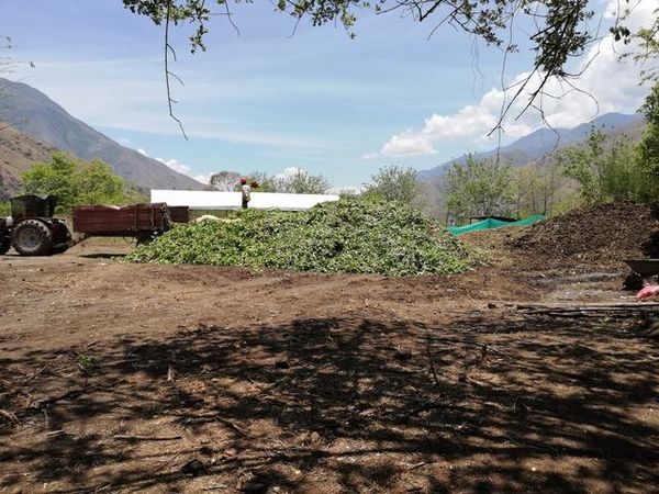 Manejo control buchón agua materiales flotantes embalse proyecto Ituango
Manejo y control buchón de agua y materiales flotantes embalse proyecto Ituango
Fecha: Mayo 3 2019
Para descargar esta fotografía en alta resolución, haga clic sobre la imagen hasta que la misma se despliegue en la pantalla completa; luego dé clic derecho y elija la opción "guardar imagen como". 
En caso de publicación por cualquier medio, solicitamos acompañarla del crédito: "Foto EPM"
Palabras clave: Manejo control buchón agua materiales flotantes embalse proyecto Ituango