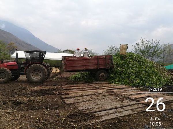 Manejo control buchón agua materiales flotantes embalse proyecto Ituango
Manejo y control buchón de agua y materiales flotantes embalse proyecto Ituango
Fecha: Mayo 3 2019
Para descargar esta fotografía en alta resolución, haga clic sobre la imagen hasta que la misma se despliegue en la pantalla completa; luego dé clic derecho y elija la opción "guardar imagen como". 
En caso de publicación por cualquier medio, solicitamos acompañarla del crédito: "Foto EPM"
Palabras clave: Manejo control buchón agua materiales flotantes embalse proyecto Ituango