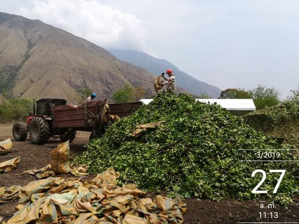 Manejo control buchón agua materiales flotantes embalse proyecto Ituango
Manejo y control buchón de agua y materiales flotantes embalse proyecto Ituango
Fecha: Mayo 3 2019
Para descargar esta fotografía en alta resolución, haga clic sobre la imagen hasta que la misma se despliegue en la pantalla completa; luego dé clic derecho y elija la opción "guardar imagen como". 
En caso de publicación por cualquier medio, solicitamos acompañarla del crédito: "Foto EPM"
Palabras clave: Manejo control buchón agua materiales flotantes embalse proyecto Ituango