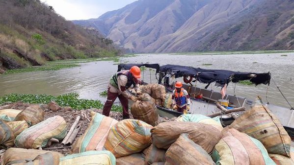 Manejo control buchón agua materiales flotantes embalse proyecto Ituango
Manejo y control buchón de agua y materiales flotantes embalse proyecto Ituango
Fecha: Mayo 3 2019
Para descargar esta fotografía en alta resolución, haga clic sobre la imagen hasta que la misma se despliegue en la pantalla completa; luego dé clic derecho y elija la opción "guardar imagen como". 
En caso de publicación por cualquier medio, solicitamos acompañarla del crédito: "Foto EPM"
Palabras clave: Manejo control buchón agua materiales flotantes embalse proyecto Ituango