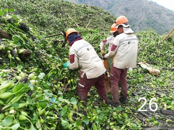 Manejo control buchón agua materiales flotantes embalse proyecto Ituango
Manejo y control buchón de agua y materiales flotantes embalse proyecto Ituango
Fecha: Mayo 3 2019
Para descargar esta fotografía en alta resolución, haga clic sobre la imagen hasta que la misma se despliegue en la pantalla completa; luego dé clic derecho y elija la opción "guardar imagen como". 
En caso de publicación por cualquier medio, solicitamos acompañarla del crédito: "Foto EPM"
Palabras clave: Manejo control buchón agua materiales flotantes embalse proyecto Ituango