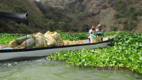 Manejo control buchón agua materiales flotantes embalse proyecto Ituango
Manejo y control buchón de agua y materiales flotantes embalse proyecto Ituango
Fecha: Mayo 3 2019
Para descargar esta fotografía en alta resolución, haga clic sobre la imagen hasta que la misma se despliegue en la pantalla completa; luego dé clic derecho y elija la opción "guardar imagen como". 
En caso de publicación por cualquier medio, solicitamos acompañarla del crédito: "Foto EPM"
Palabras clave: Manejo control buchón agua materiales flotantes embalse proyecto Ituango