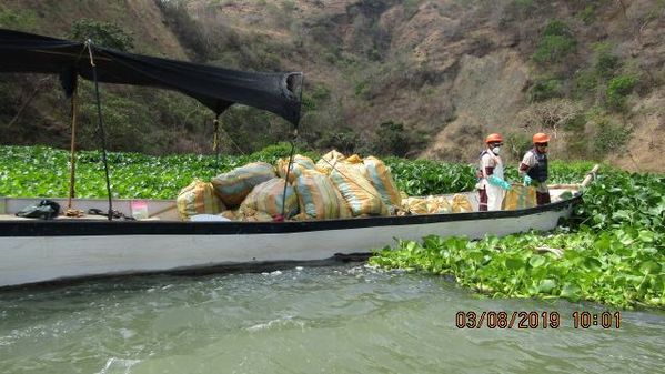 Manejo control buchón agua materiales flotantes embalse proyecto Ituango
Manejo y control buchón de agua y materiales flotantes embalse proyecto Ituango
Fecha: Mayo 3 2019
Para descargar esta fotografía en alta resolución, haga clic sobre la imagen hasta que la misma se despliegue en la pantalla completa; luego dé clic derecho y elija la opción "guardar imagen como". 
En caso de publicación por cualquier medio, solicitamos acompañarla del crédito: "Foto EPM"
Palabras clave: Manejo control buchón agua materiales flotantes embalse proyecto Ituango