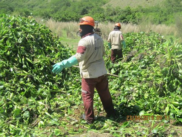 Manejo control buchón agua materiales flotantes embalse proyecto Ituango
Manejo y control buchón de agua y materiales flotantes embalse proyecto Ituango
Fecha: Mayo 3 2019
Para descargar esta fotografía en alta resolución, haga clic sobre la imagen hasta que la misma se despliegue en la pantalla completa; luego dé clic derecho y elija la opción "guardar imagen como". 
En caso de publicación por cualquier medio, solicitamos acompañarla del crédito: "Foto EPM"
Palabras clave: Manejo control buchón agua materiales flotantes embalse proyecto Ituango