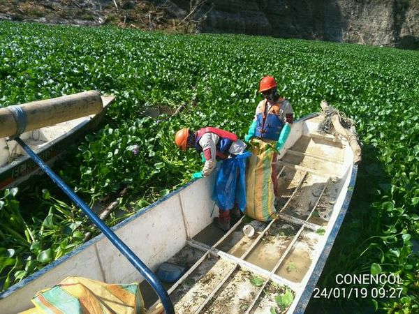 Manejo control buchón agua materiales flotantes embalse proyecto Ituango
Manejo y control buchón de agua y materiales flotantes embalse proyecto Ituango
Fecha: Mayo 3 2019
Para descargar esta fotografía en alta resolución, haga clic sobre la imagen hasta que la misma se despliegue en la pantalla completa; luego dé clic derecho y elija la opción "guardar imagen como". 
En caso de publicación por cualquier medio, solicitamos acompañarla del crédito: "Foto EPM"
Palabras clave: Manejo control buchón agua materiales flotantes embalse proyecto Ituango