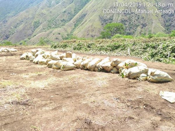 Manejo control buchón agua materiales flotantes embalse proyecto Ituango
Manejo y control buchón de agua y materiales flotantes embalse proyecto Ituango
Fecha: Mayo 3 2019
Para descargar esta fotografía en alta resolución, haga clic sobre la imagen hasta que la misma se despliegue en la pantalla completa; luego dé clic derecho y elija la opción "guardar imagen como". 
En caso de publicación por cualquier medio, solicitamos acompañarla del crédito: "Foto EPM"
Palabras clave: Manejo control buchón agua materiales flotantes embalse proyecto Ituango