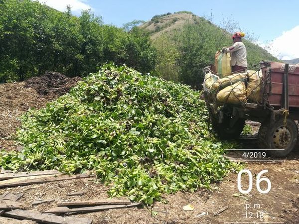 Manejo control buchón agua materiales flotantes embalse proyecto Ituango
Manejo y control buchón de agua y materiales flotantes embalse proyecto Ituango
Fecha: Mayo 3 2019
Para descargar esta fotografía en alta resolución, haga clic sobre la imagen hasta que la misma se despliegue en la pantalla completa; luego dé clic derecho y elija la opción "guardar imagen como". 
En caso de publicación por cualquier medio, solicitamos acompañarla del crédito: "Foto EPM"
Palabras clave: Manejo control buchón agua materiales flotantes embalse proyecto Ituango