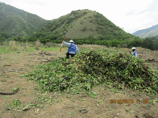 Manejo control buchón agua materiales flotantes embalse proyecto Ituango
Manejo y control buchón de agua y materiales flotantes embalse proyecto Ituango
Fecha: Mayo 3 2019
Para descargar esta fotografía en alta resolución, haga clic sobre la imagen hasta que la misma se despliegue en la pantalla completa; luego dé clic derecho y elija la opción "guardar imagen como". 
En caso de publicación por cualquier medio, solicitamos acompañarla del crédito: "Foto EPM"
Palabras clave: Manejo control buchón agua materiales flotantes embalse proyecto Ituango