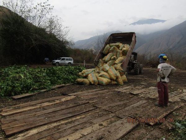 Manejo control buchón agua materiales flotantes embalse proyecto Ituango
Manejo y control buchón de agua y materiales flotantes embalse proyecto Ituango
Fecha: Mayo 3 2019
Para descargar esta fotografía en alta resolución, haga clic sobre la imagen hasta que la misma se despliegue en la pantalla completa; luego dé clic derecho y elija la opción "guardar imagen como". 
En caso de publicación por cualquier medio, solicitamos acompañarla del crédito: "Foto EPM"
Palabras clave: Manejo control buchón agua materiales flotantes embalse proyecto Ituango