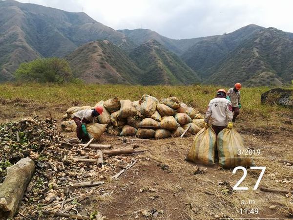 Manejo control buchón agua materiales flotantes embalse proyecto Ituango
Manejo y control buchón de agua y materiales flotantes embalse proyecto Ituango
Fecha: Mayo 3 2019
Para descargar esta fotografía en alta resolución, haga clic sobre la imagen hasta que la misma se despliegue en la pantalla completa; luego dé clic derecho y elija la opción "guardar imagen como". 
En caso de publicación por cualquier medio, solicitamos acompañarla del crédito: "Foto EPM"
Palabras clave: Manejo control buchón agua materiales flotantes embalse proyecto Ituango