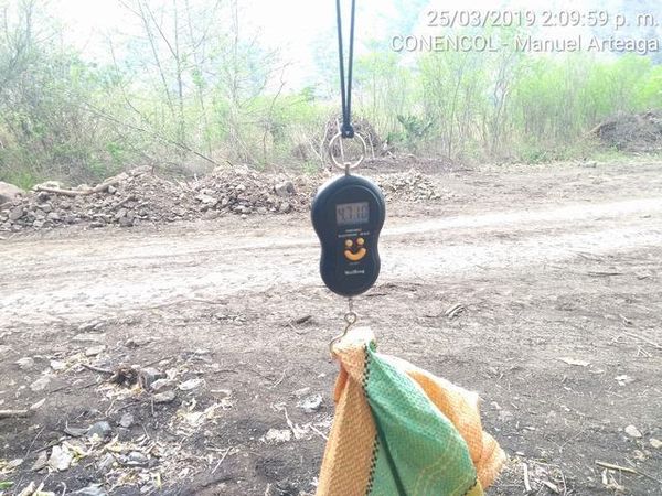 Manejo control buchón agua materiales flotantes embalse proyecto Ituango
Manejo y control buchón de agua y materiales flotantes embalse proyecto Ituango
Fecha: Mayo 3 2019
Para descargar esta fotografía en alta resolución, haga clic sobre la imagen hasta que la misma se despliegue en la pantalla completa; luego dé clic derecho y elija la opción "guardar imagen como". 
En caso de publicación por cualquier medio, solicitamos acompañarla del crédito: "Foto EPM"
Palabras clave: Manejo control buchón agua materiales flotantes embalse proyecto Ituango