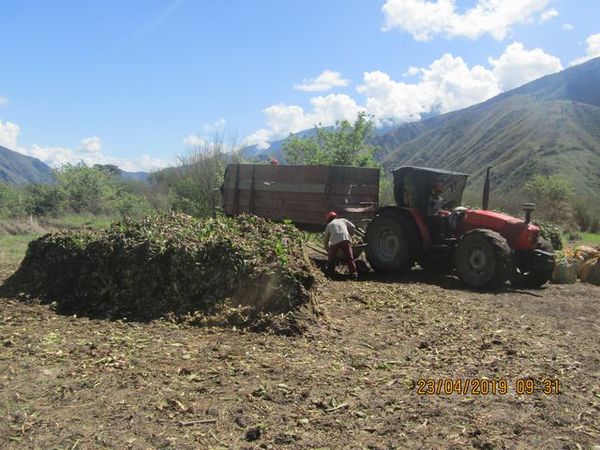 Manejo control buchón agua materiales flotantes embalse proyecto Ituango
Manejo y control buchón de agua y materiales flotantes embalse proyecto Ituango
Fecha: Mayo 3 2019
Para descargar esta fotografía en alta resolución, haga clic sobre la imagen hasta que la misma se despliegue en la pantalla completa; luego dé clic derecho y elija la opción "guardar imagen como". 
En caso de publicación por cualquier medio, solicitamos acompañarla del crédito: "Foto EPM"
Palabras clave: Manejo control buchón agua materiales flotantes embalse proyecto Ituango