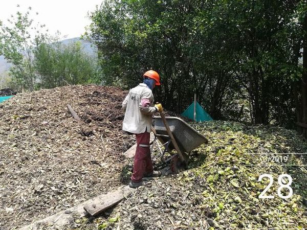 Manejo control buchón agua materiales flotantes embalse proyecto Ituango
Manejo y control buchón de agua y materiales flotantes embalse proyecto Ituango
Fecha: Mayo 3 2019
Para descargar esta fotografía en alta resolución, haga clic sobre la imagen hasta que la misma se despliegue en la pantalla completa; luego dé clic derecho y elija la opción "guardar imagen como". 
En caso de publicación por cualquier medio, solicitamos acompañarla del crédito: "Foto EPM"
Palabras clave: Manejo control buchón agua materiales flotantes embalse proyecto Ituango