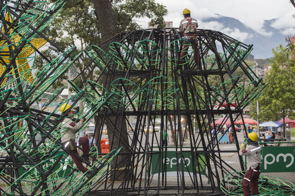 Montaje del árbol gigante de Navidad
Montaje del árbol gigante de Navidad
Fecha: Noviembre 1 de 2016
Para descargar esta fotografía en alta resolución, haga clic sobre la imagen hasta que la misma se despliegue en la pantalla completa; luego dé clic derecho y elija la opción "guardar imagen como". 
En caso de publicación por cualquier medio, solicitamos acompañarla del crédito: "Foto EPM"
Palabras clave: Montaje árbol gigante Navidad