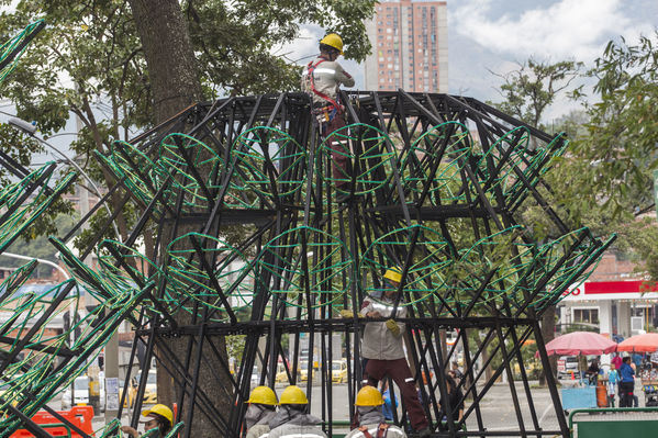 Montaje del árbol gigante de Navidad
Montaje del árbol gigante de Navidad
Fecha: Noviembre 1 de 2016
Para descargar esta fotografía en alta resolución, haga clic sobre la imagen hasta que la misma se despliegue en la pantalla completa; luego dé clic derecho y elija la opción "guardar imagen como". 
En caso de publicación por cualquier medio, solicitamos acompañarla del crédito: "Foto EPM"
Palabras clave: Montaje árbol gigante Navidad