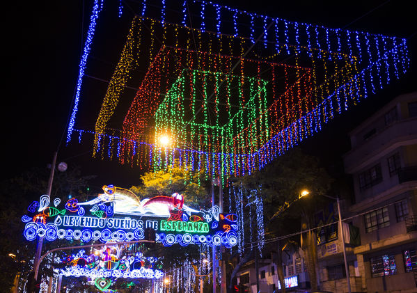 Prueba técnica del Alumbrado Navideño 2014
Prueba técnica Alumbrado Navideño 2014
Fecha: Noviembre 18 de 2014
Para descargar esta fotografía en alta resolución, haga clic sobre la imagen hasta que la misma se despliegue en la pantalla completa; luego dé clic derecho y elija la opción "guardar imagen como". 
En caso de publicación por cualquier medio, solicitamos acompañarla del crédito: "Foto EPM"

Palabras clave: técnica Alumbrado Navideño 2014