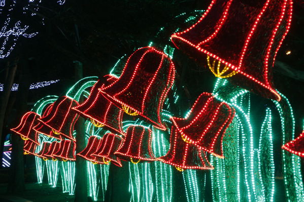 Ensayo del Alumbrado Navideño
Ensayo del Alumbrado Navideño
Fecha: Noviembre 25 de 2016
Para descargar esta fotografía en alta resolución, haga clic sobre la imagen hasta que la misma se despliegue en la pantalla completa; luego dé clic derecho y elija la opción "guardar imagen como". 
En caso de publicación por cualquier medio, solicitamos acompañarla del crédito: "Foto EPM"
Palabras clave: Ensayo Alumbrado Navideño