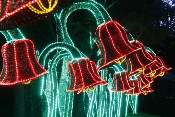 Ensayo del Alumbrado Navideño
Ensayo del Alumbrado Navideño
Fecha: Noviembre 25 de 2016
Para descargar esta fotografía en alta resolución, haga clic sobre la imagen hasta que la misma se despliegue en la pantalla completa; luego dé clic derecho y elija la opción "guardar imagen como". 
En caso de publicación por cualquier medio, solicitamos acompañarla del crédito: "Foto EPM"
Palabras clave: Ensayo Alumbrado Navideño