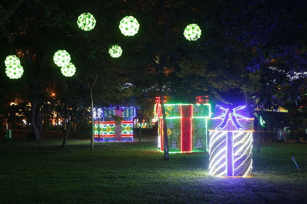 Ensayo del Alumbrado Navideño
Ensayo del Alumbrado Navideño
Fecha: Noviembre 25 de 2016
Para descargar esta fotografía en alta resolución, haga clic sobre la imagen hasta que la misma se despliegue en la pantalla completa; luego dé clic derecho y elija la opción "guardar imagen como". 
En caso de publicación por cualquier medio, solicitamos acompañarla del crédito: "Foto EPM"
Palabras clave: Ensayo Alumbrado Navideño