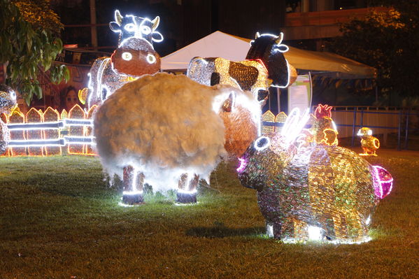Ensayo del Alumbrado Navideño
Ensayo del Alumbrado Navideño
Fecha: Noviembre 25 de 2016
Para descargar esta fotografía en alta resolución, haga clic sobre la imagen hasta que la misma se despliegue en la pantalla completa; luego dé clic derecho y elija la opción "guardar imagen como". 
En caso de publicación por cualquier medio, solicitamos acompañarla del crédito: "Foto EPM"
Palabras clave: Ensayo Alumbrado Navideño